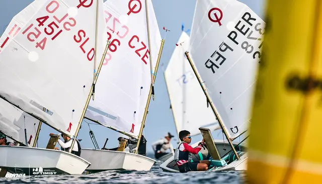 Flota Optimist