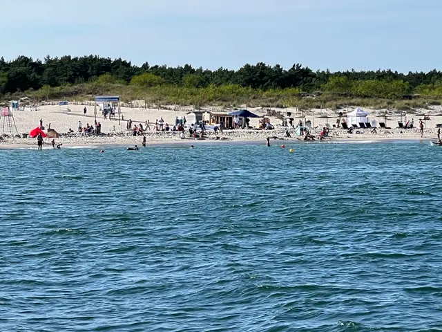 Woda dobrze niesie głos – słyszę pokrzykiwanie ludzi na plaży w Jastrzębiej górze