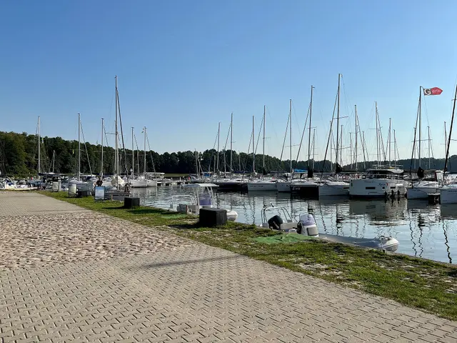 Jachty żaglowe zacumowane w porcie w Sztynorcie, na pierwszym planie wybrukowane nabrzeże