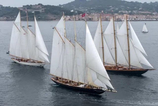 Les Voiles de Saint-Tropez