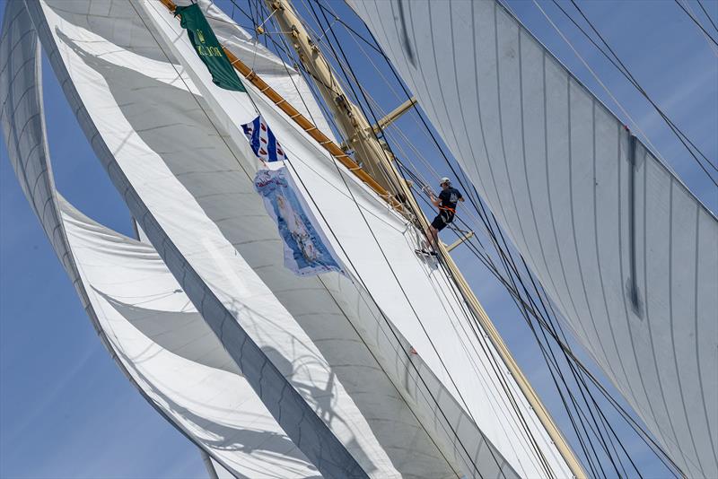 Les voiles de saint tropez