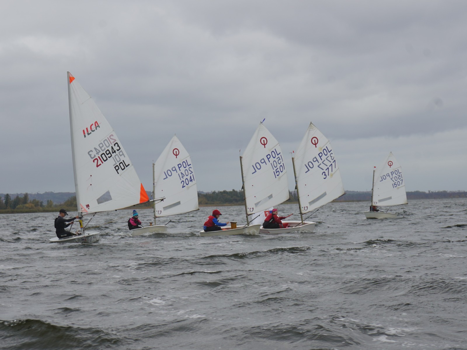Łódki klas Optimist i ILCA na Jeziorze Dąbskim podczas regat