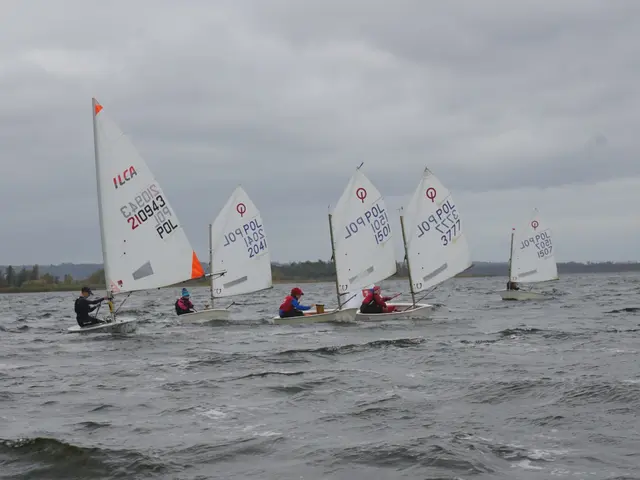 Łódki klas Optimist i ILCA na Jeziorze Dąbskim podczas regat