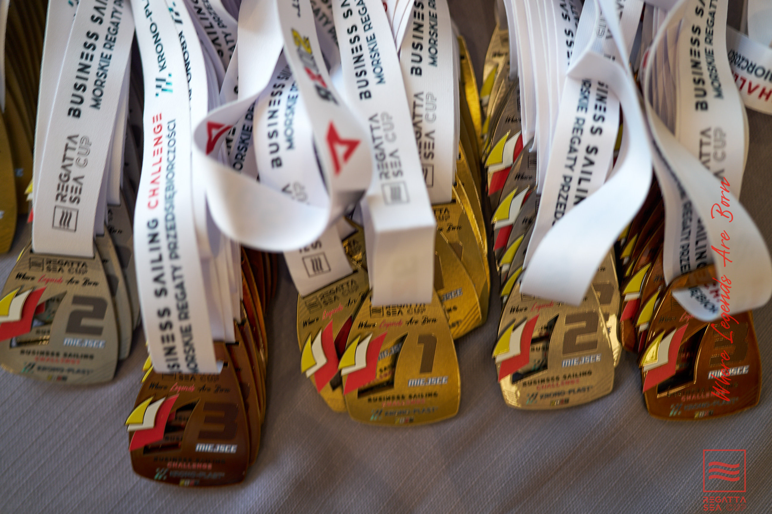 Regatta SEA CUP 2026