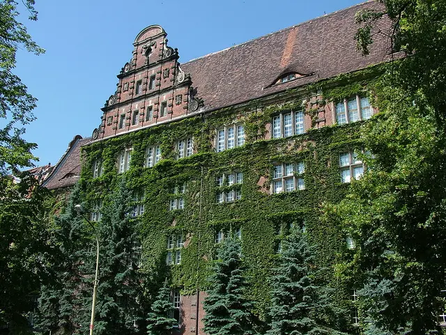 Żeglarstwo morskie i technologia dronów w AM Szczecin