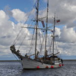 Tydzień „Zawiszy Czarnego”