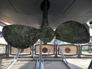 Bardzo silnie występujące związki miedzi na powierzchni śruby, brak śladów muszelek. Fot. Paweł Wilkowski Bardzo silnie występujące związki miedzi na powierzchni śruby, brak śladów muszelek. Fot. Paweł Wilkowski