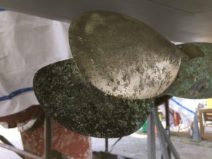 Postępy w mechanicznym czyszczeniu łopat szczotką plastikową. Fot. Paweł Wilkowski Postępy w mechanicznym czyszczeniu łopat szczotką plastikową. Fot. Paweł Wilkowski