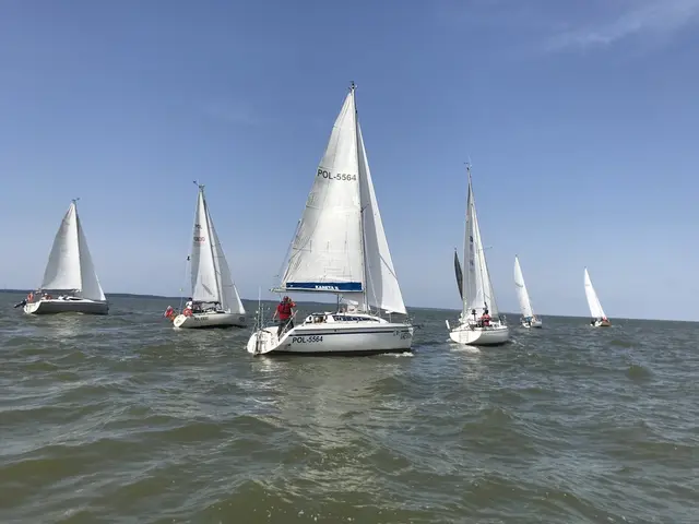 Puchary Pucharu Tolkmicka 2019 rozdane