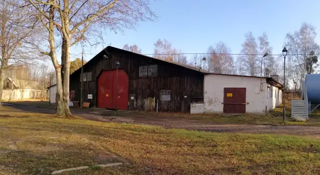 Muzeum Gdańska zbiera materiały na wystawę o żeglarstwie