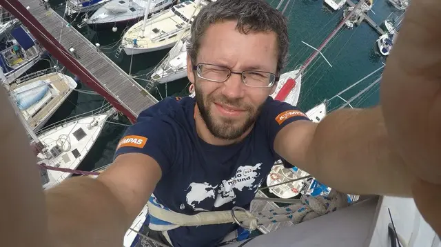 Kolibry oceanów, czyli rozmiar ma znaczenie