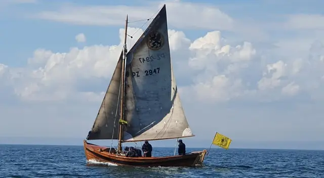 Pomeranka Wasleuper fot Tyberiusz Narkowicz