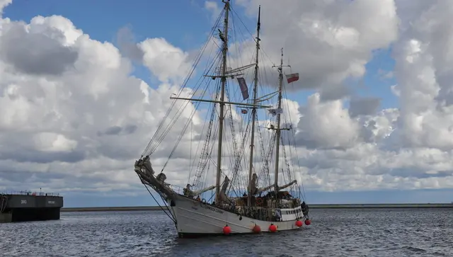 Zawiszy