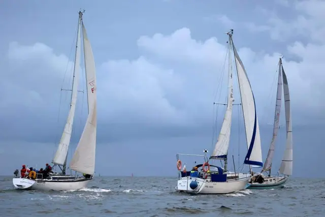 Duża frekwencja w regatach Gdynia-Władysławowo-Gdynia