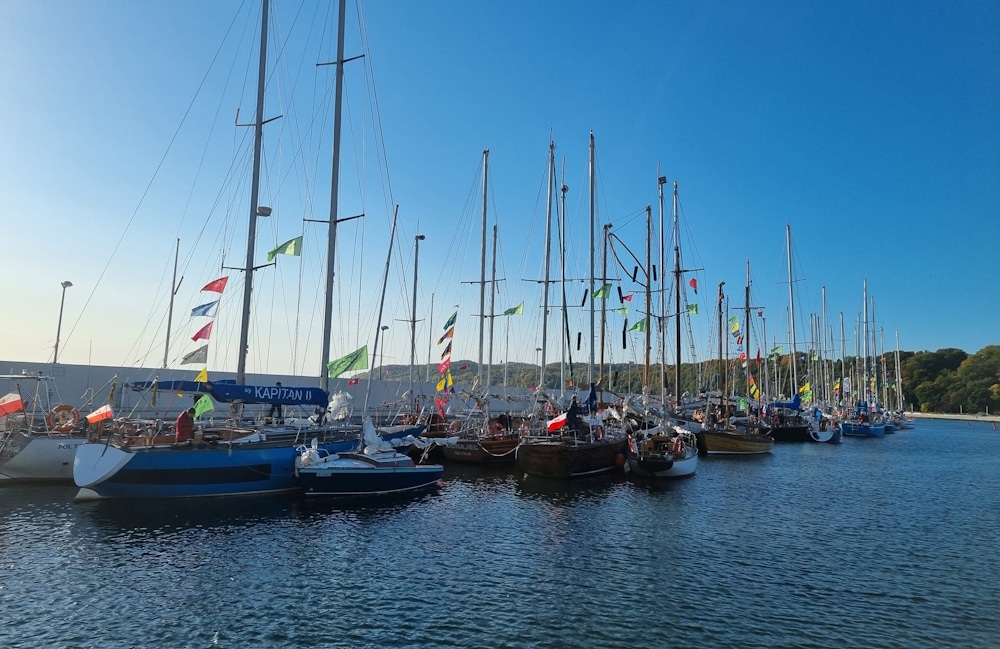 Próchno i Rdza 2024