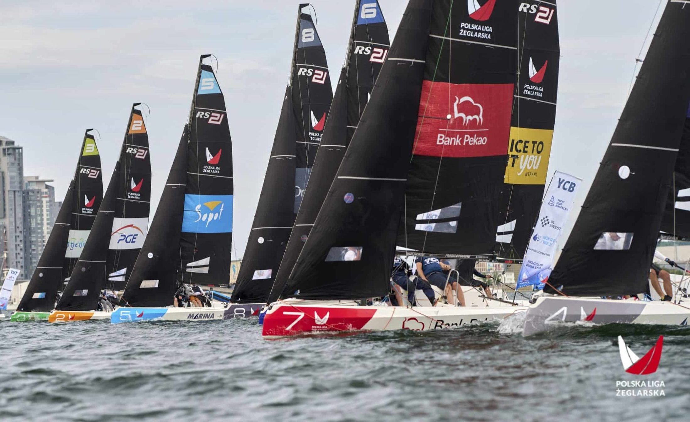 Polska Liga Żeglarska