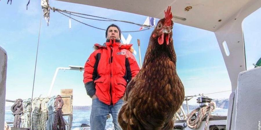Kard z filmu „Przygody Guireca i Monique. Sto trzydzieści dni wśród lodu”